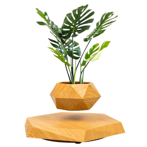 AirPlant Levitation Pot