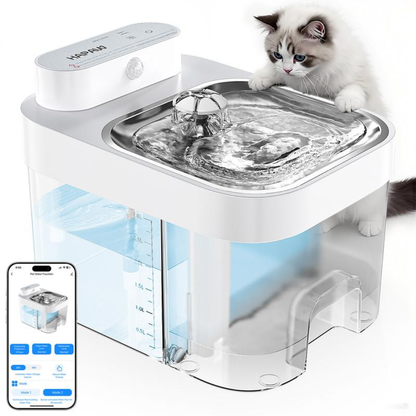 PurrFlow Fountain