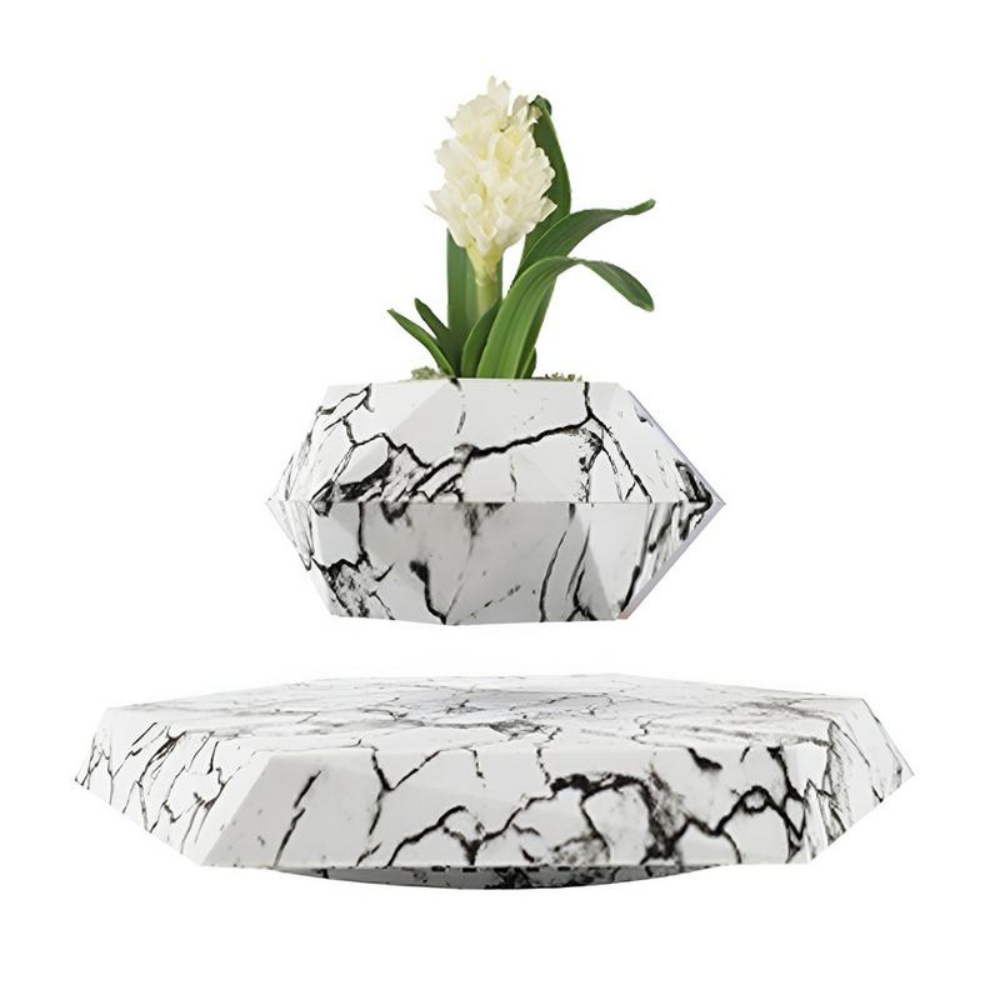 AirPlant Levitation Pot