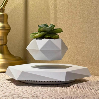 AirPlant Levitation Pot