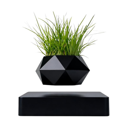 AirPlant Levitation Pot