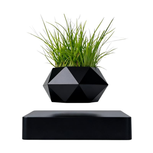 AirPlant Levitation Pot