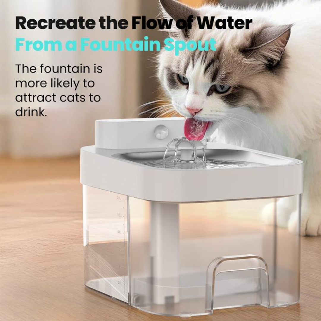 PurrFlow Fountain