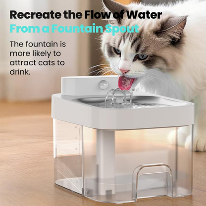 PurrFlow Fountain